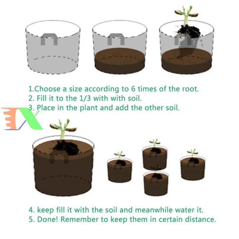 Túi ươm cây công trình